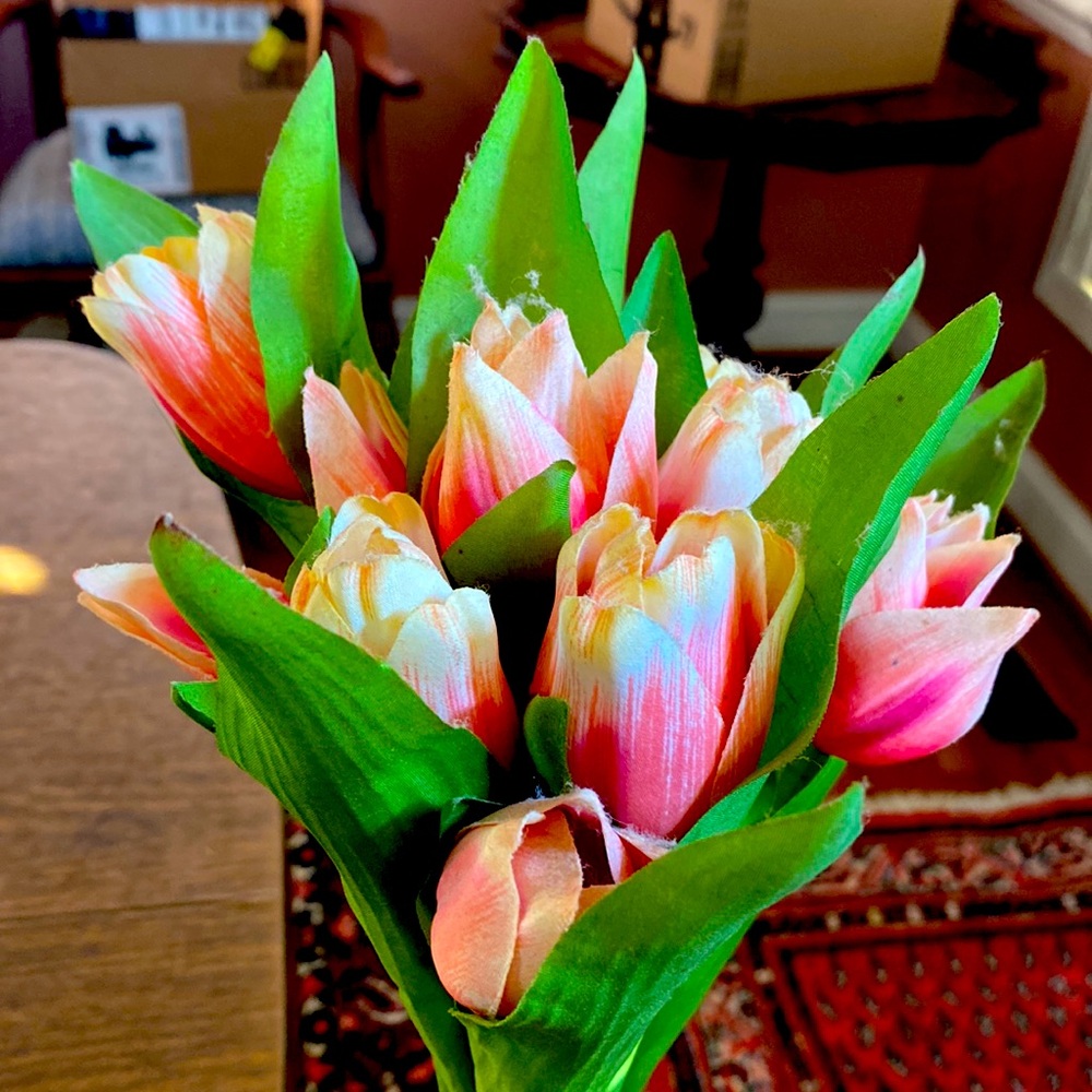Set of 10 Silk Tulips, 17”, Pink. Gorgeous faux flowers!